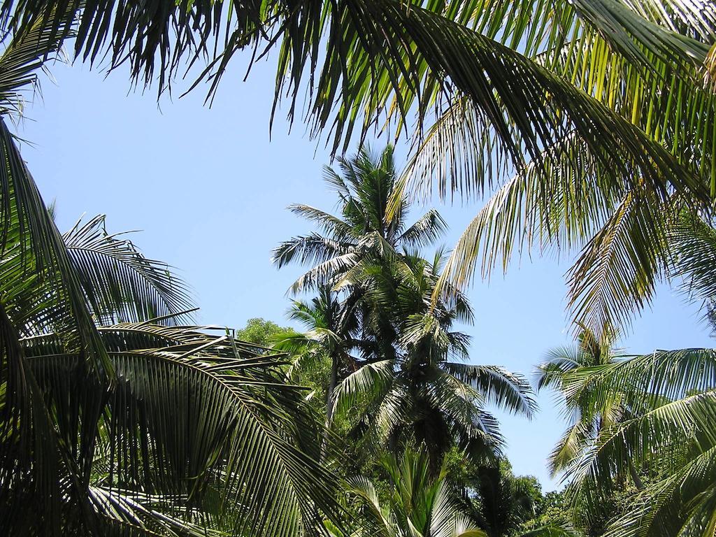 North Borneo Biostation Resort Kudat Zewnętrze zdjęcie