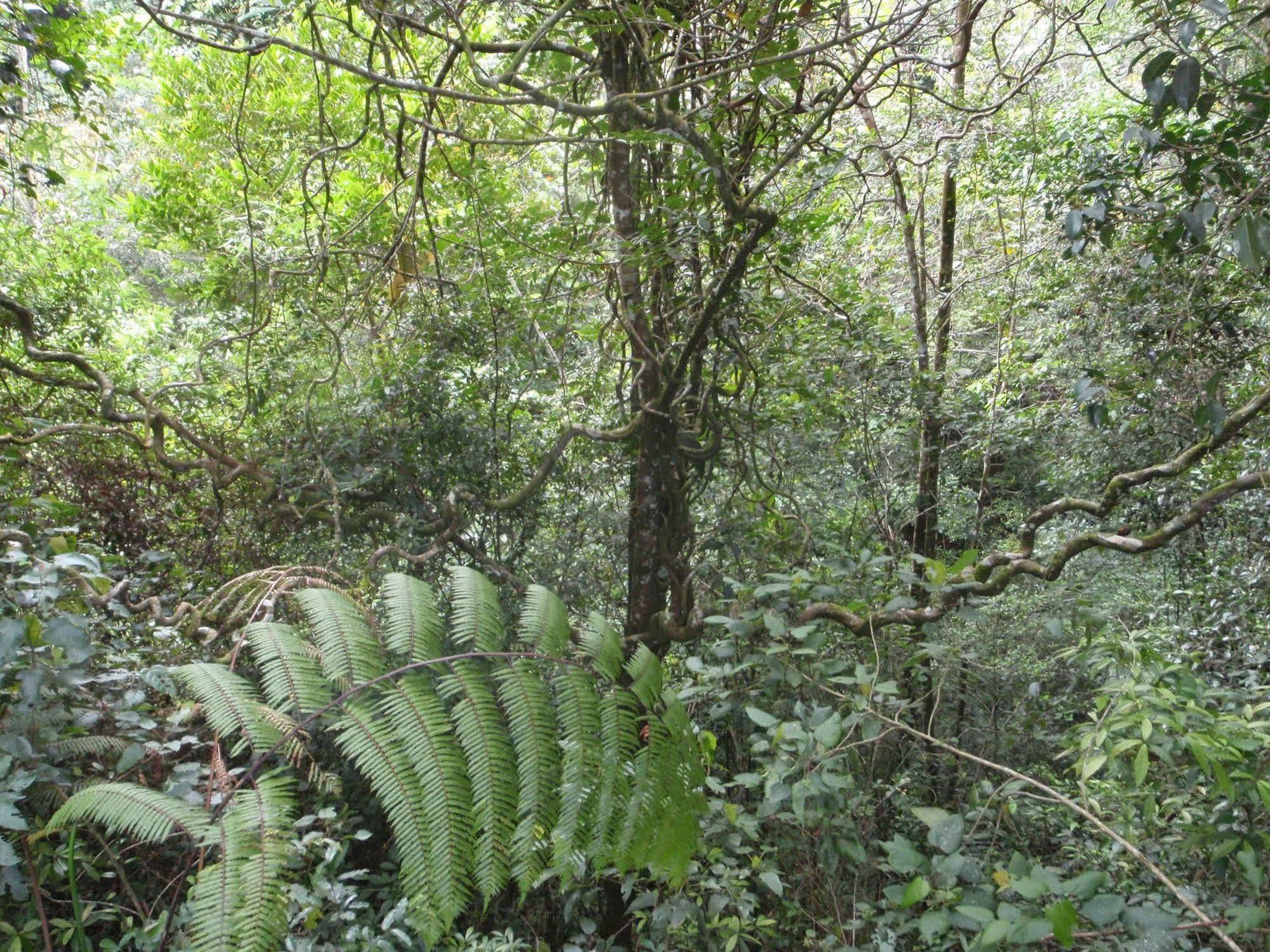 North Borneo Biostation Resort Kudat Zewnętrze zdjęcie
